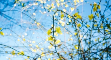 График работы в праздники