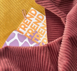 Коллекция Zoom