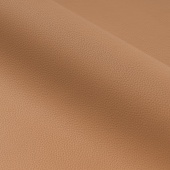 Continent 250