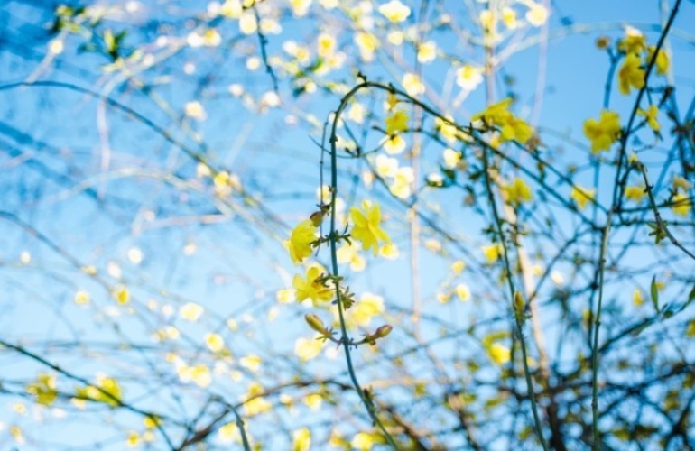 График работы в праздники